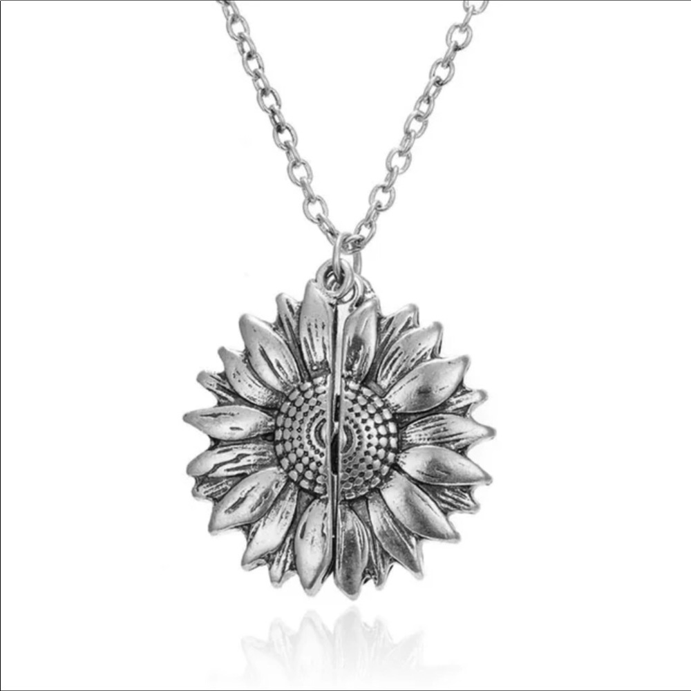 You Are My Sunshine Hidden Message Locket 11 inches Long Necklace in silver tone
